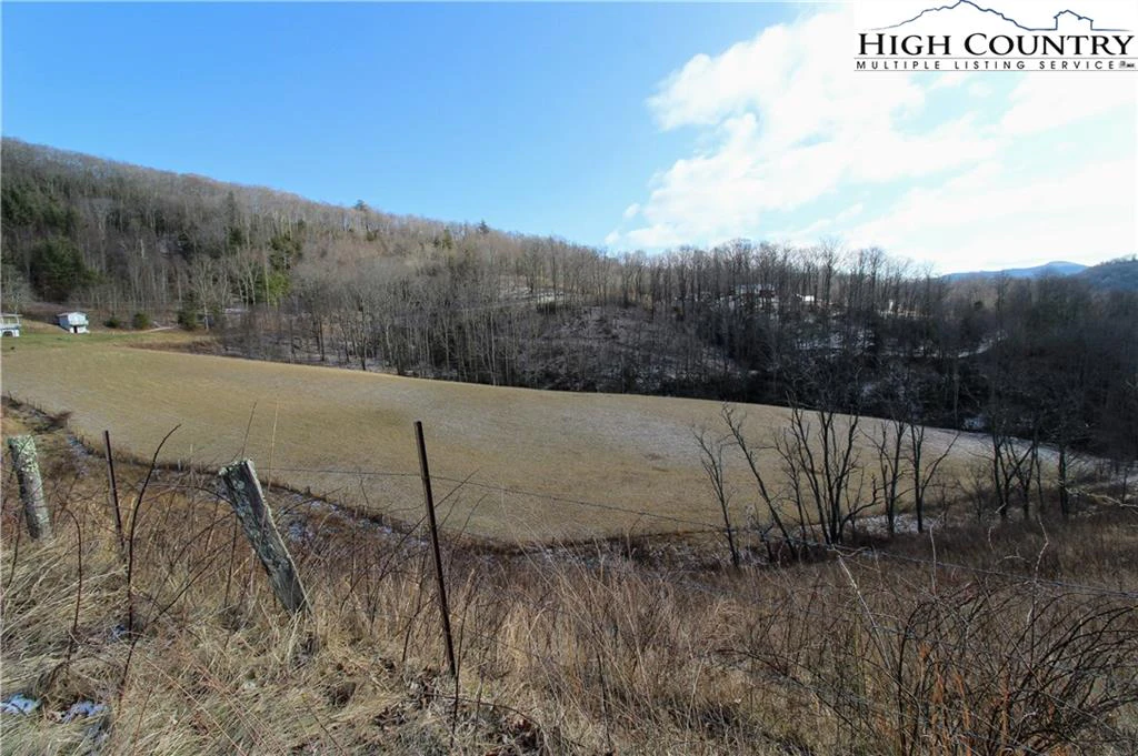 Image number 12 for the current listing
