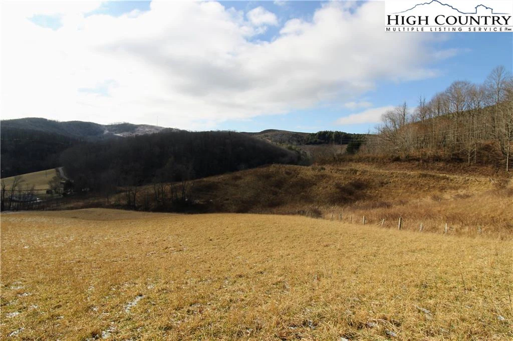 Image number 3 for the current listing