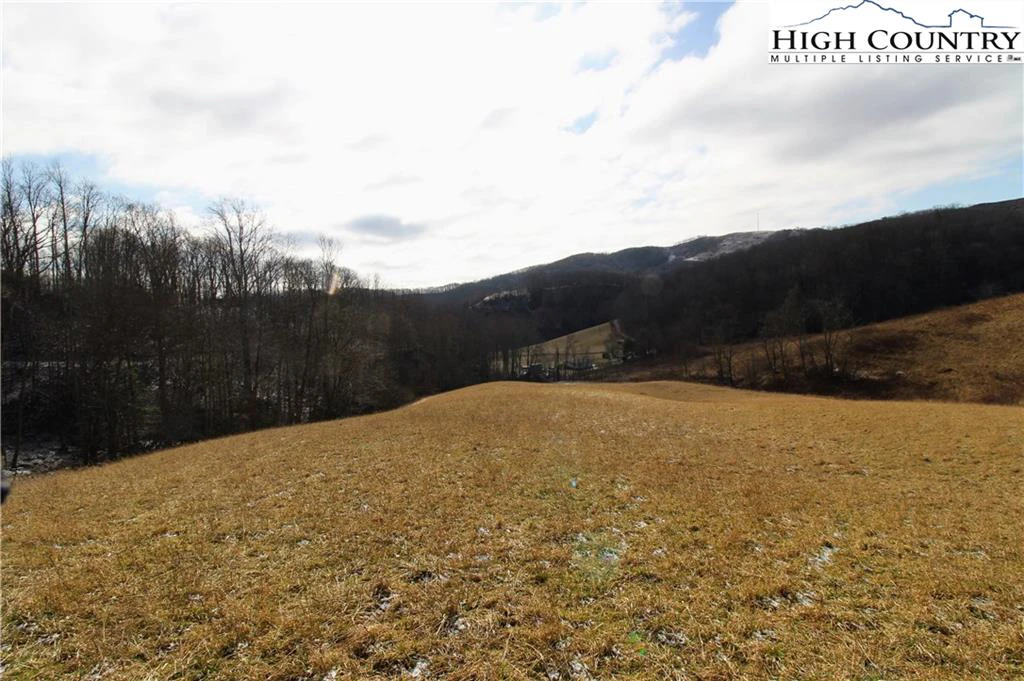 Image number 4 for the current listing