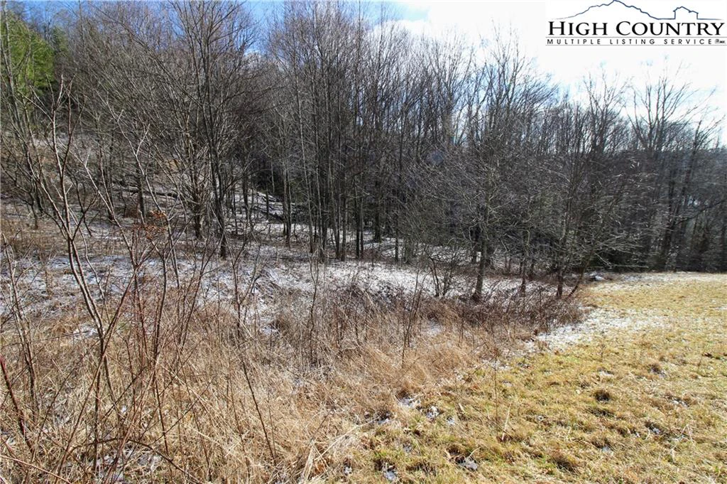 Image number 7 for the current listing
