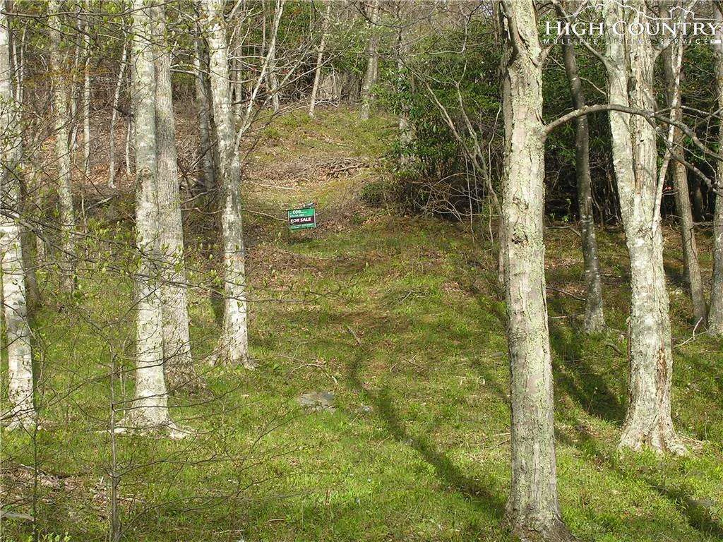 Image number 3 for the current listing