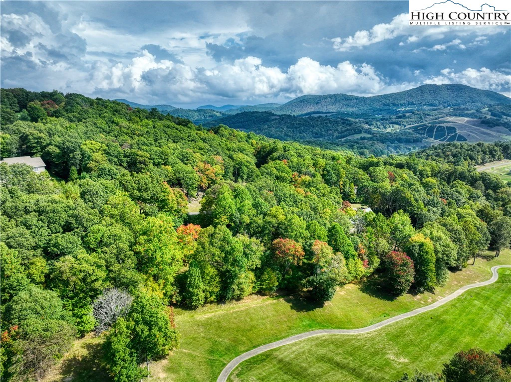 Image number 1 for the current listing