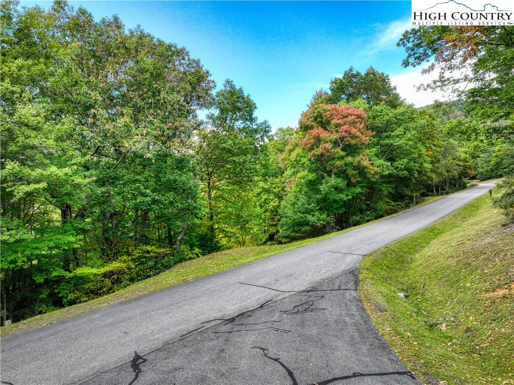 Image number 3 for the current listing