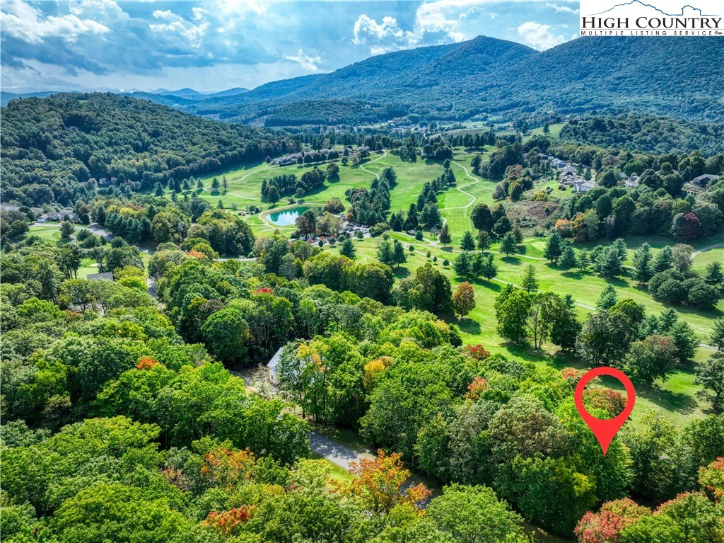 Image number 4 for the current listing