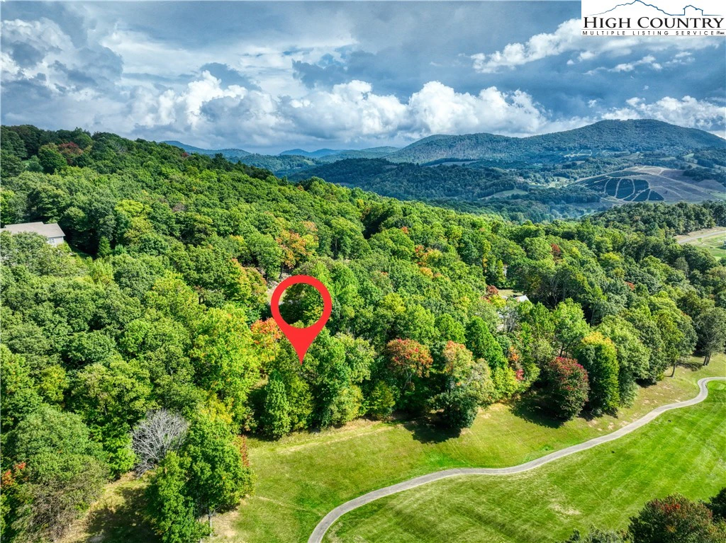 Image number 7 for the current listing