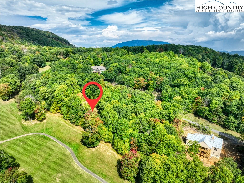 Image number 8 for the current listing