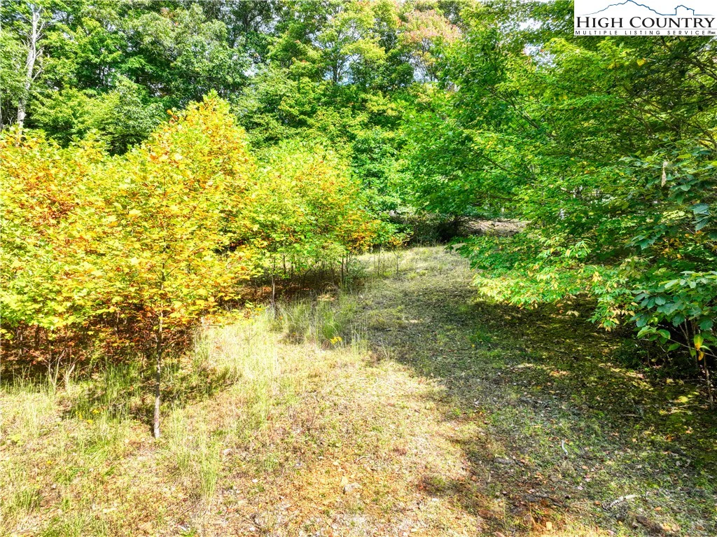 Image number 11 for the current listing