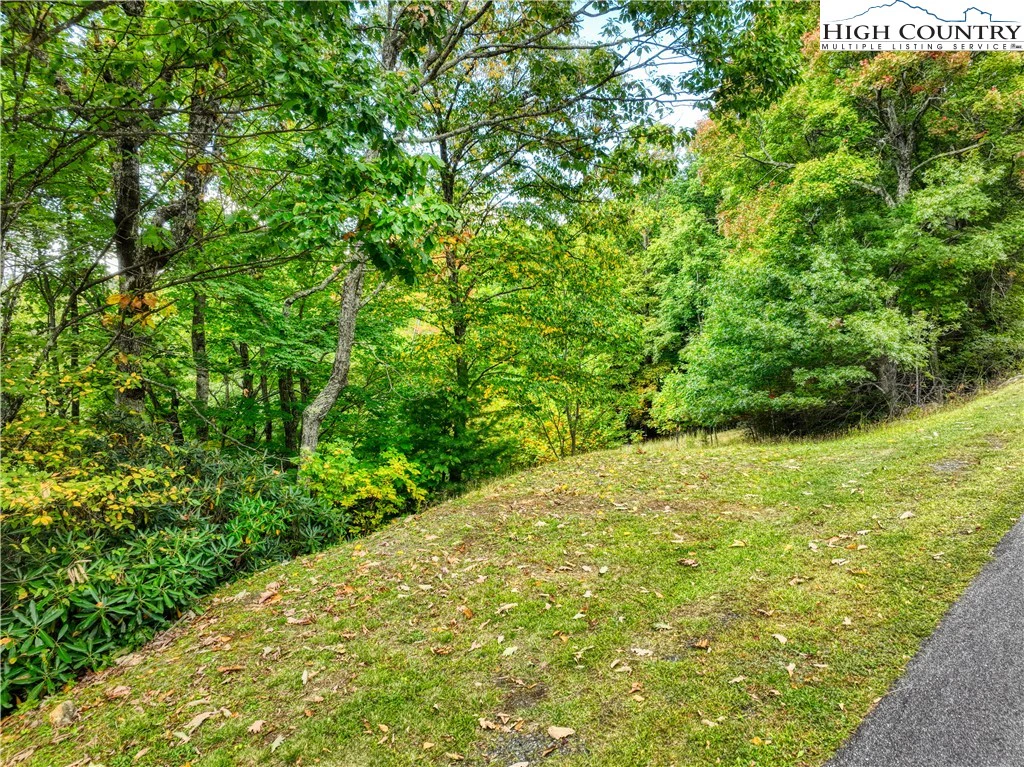 Image number 13 for the current listing