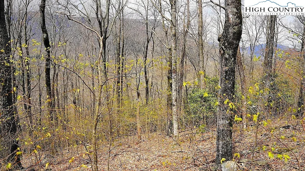 Image number 1 for the current listing