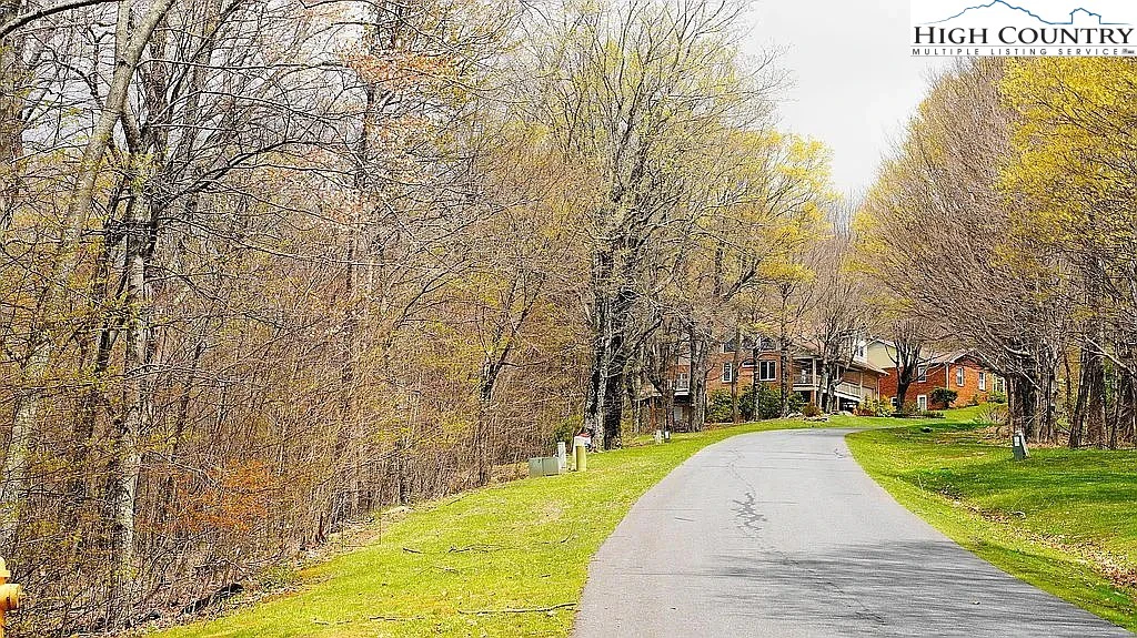Image number 3 for the current listing