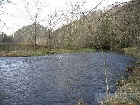 Image number 13 for the current listing