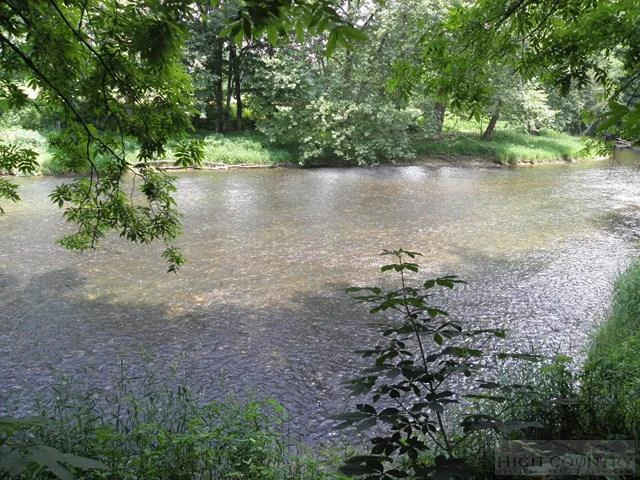 Image number 7 for the current listing