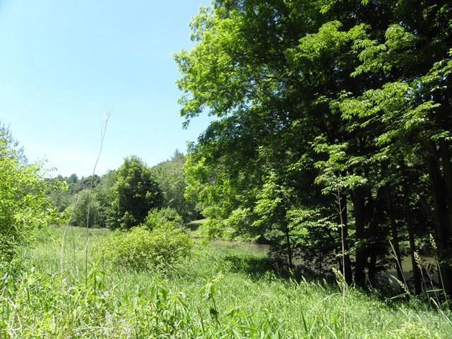 Image number 8 for the current listing