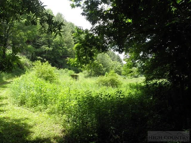 Image number 9 for the current listing