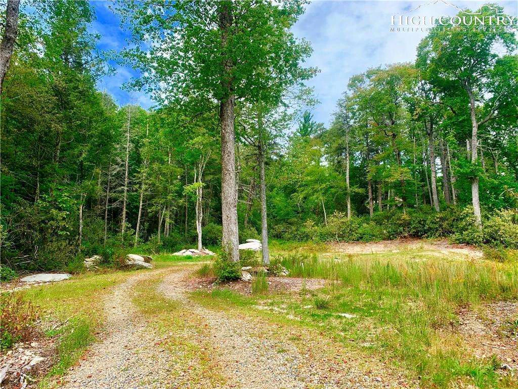 Image number 3 for the current listing