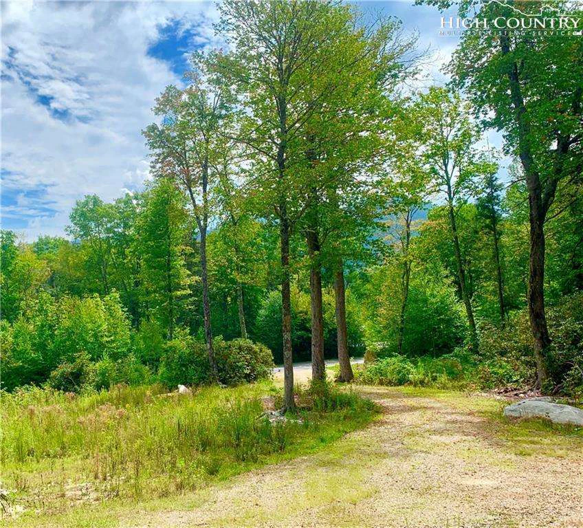 Image number 5 for the current listing