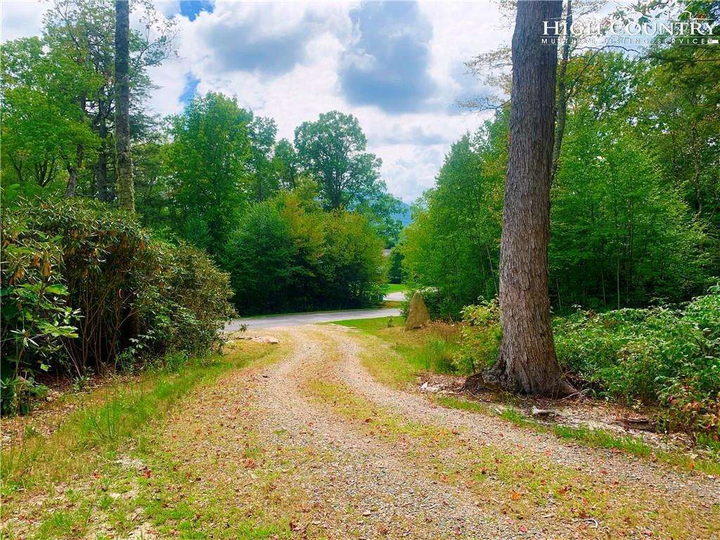 Image number 6 for the current listing