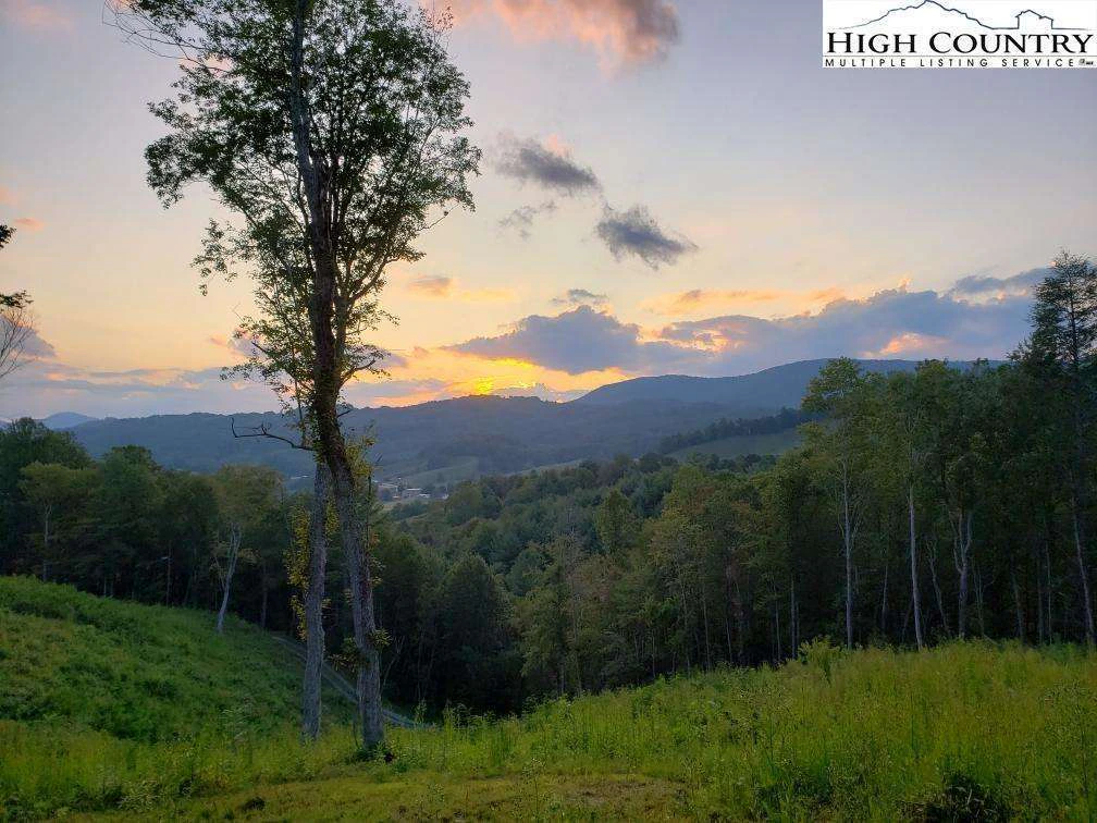 Image number 1 for the current listing