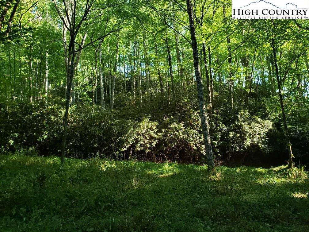 Image number 5 for the current listing