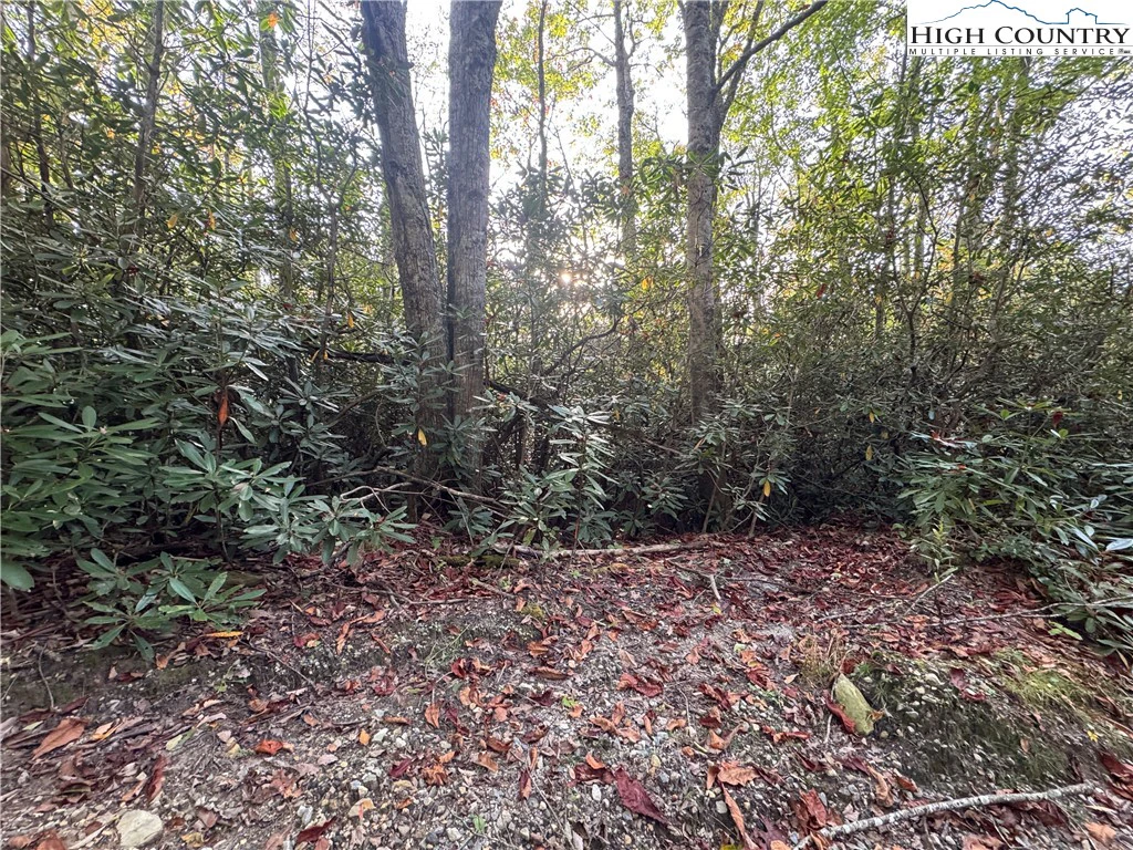 Image number 1 for the current listing