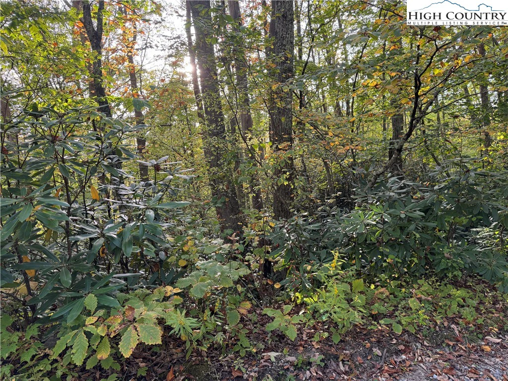 Image number 3 for the current listing