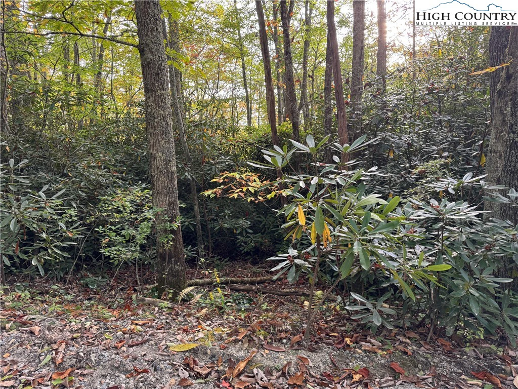 Image number 5 for the current listing