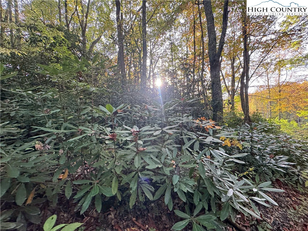 Image number 1 for the current listing