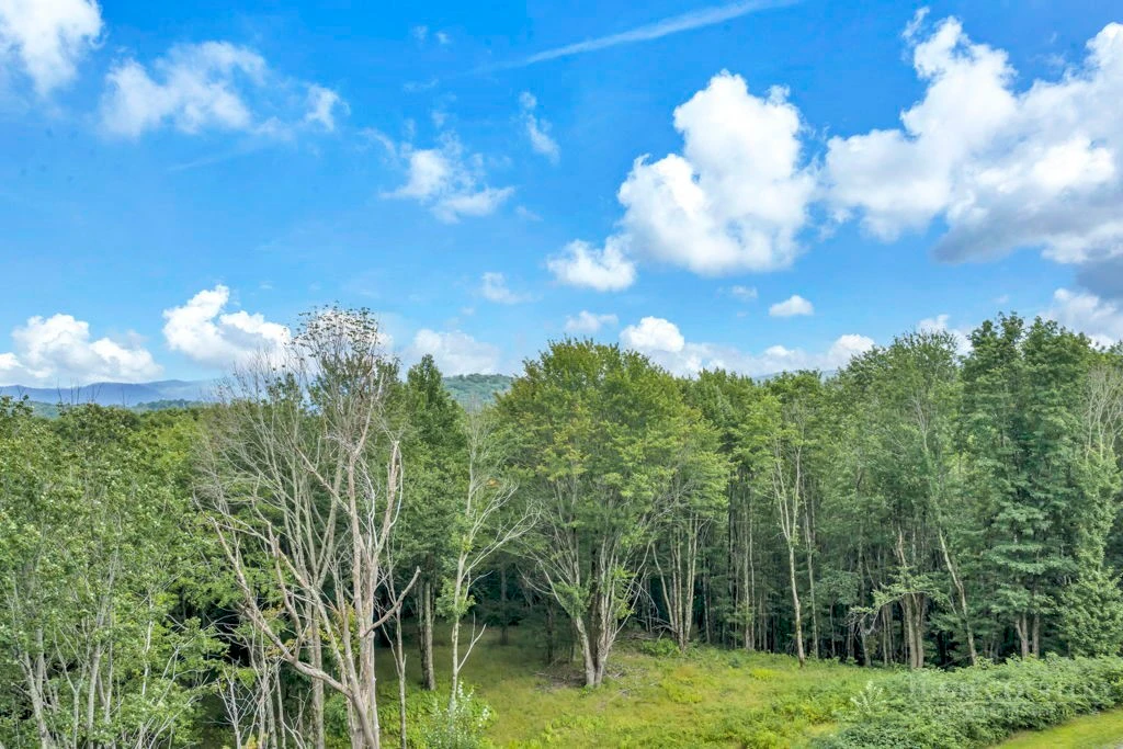Image number 17 for the current listing