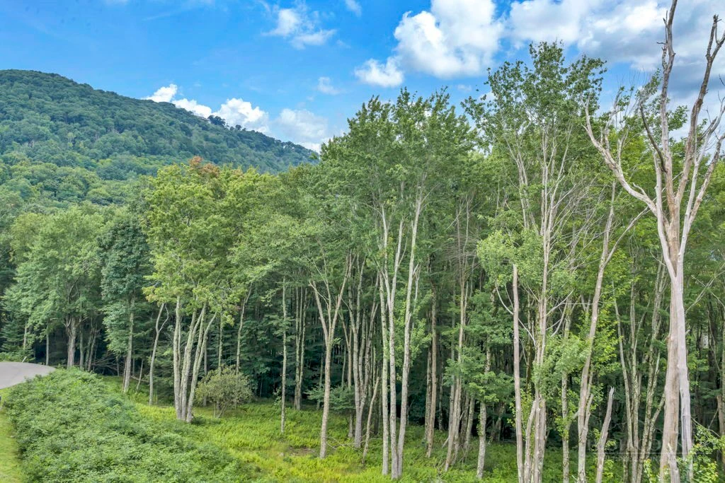 Image number 18 for the current listing