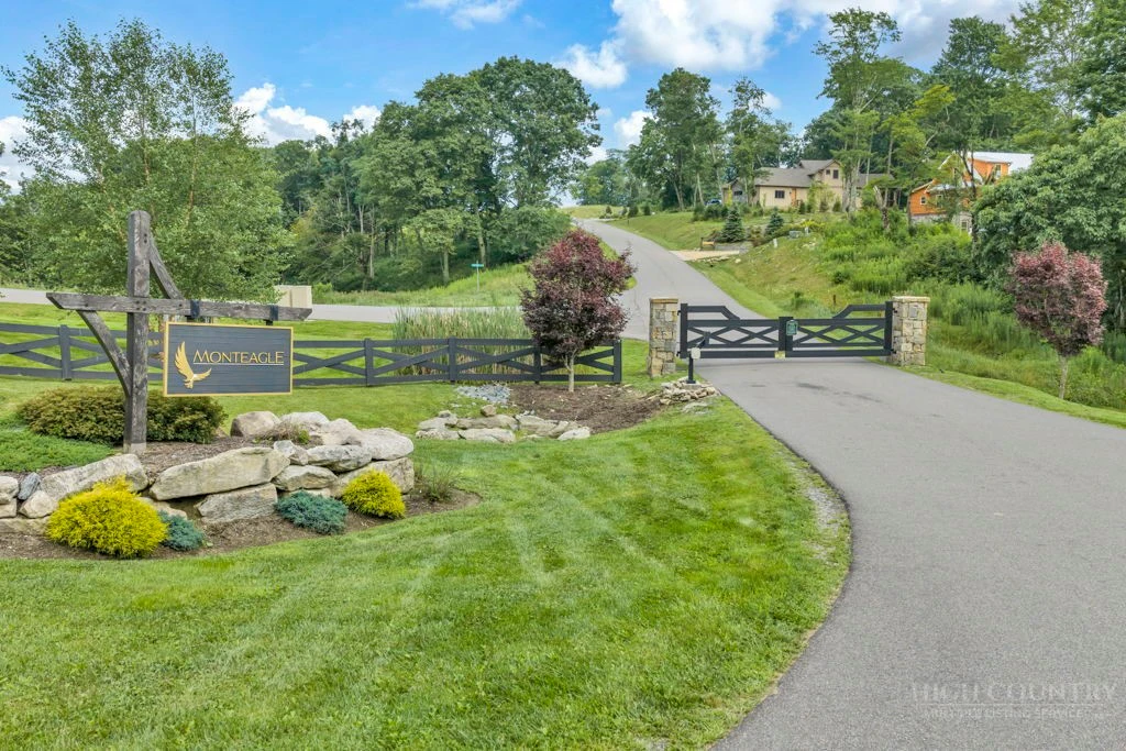 Image number 1 for the current listing