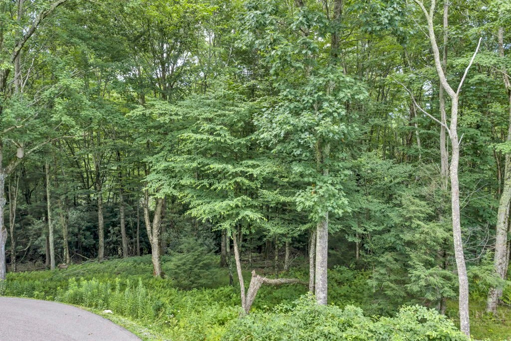 Image number 11 for the current listing