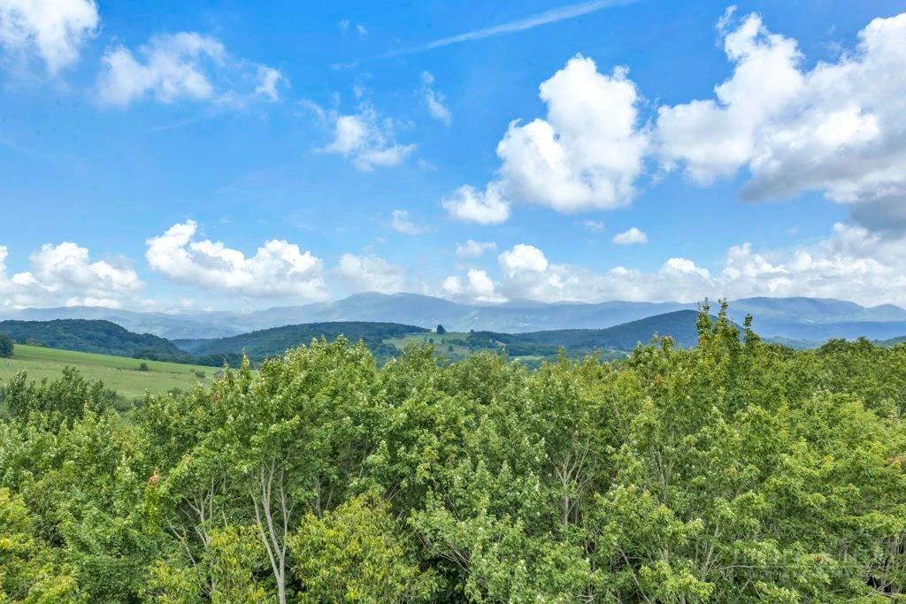 Image number 15 for the current listing