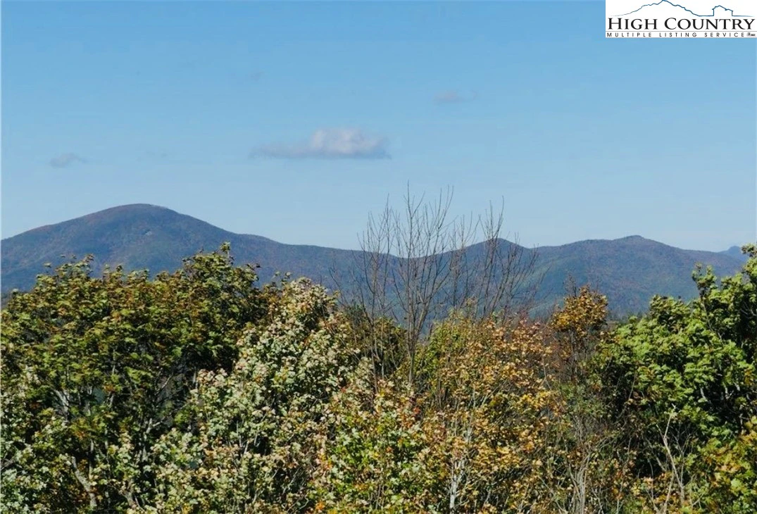 Image number 1 for the current listing