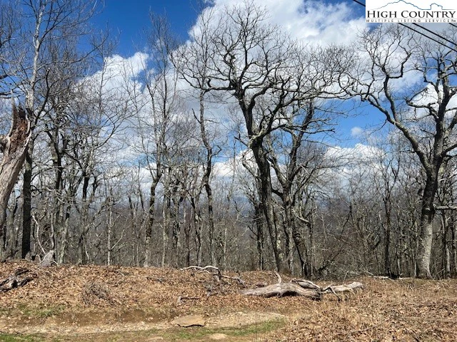 Image number 3 for the current listing