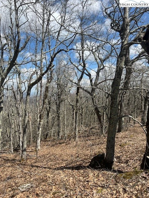 Image number 4 for the current listing