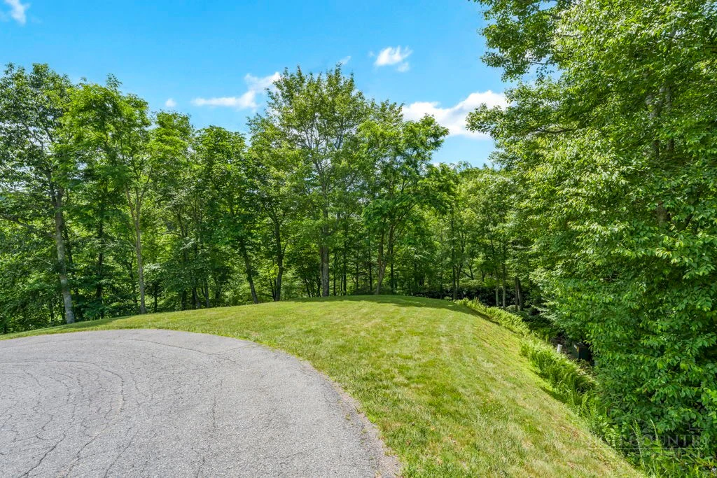 Image number 1 for the current listing