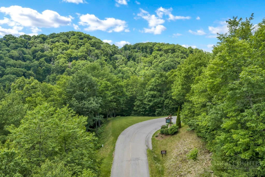 Image number 2 for the current listing