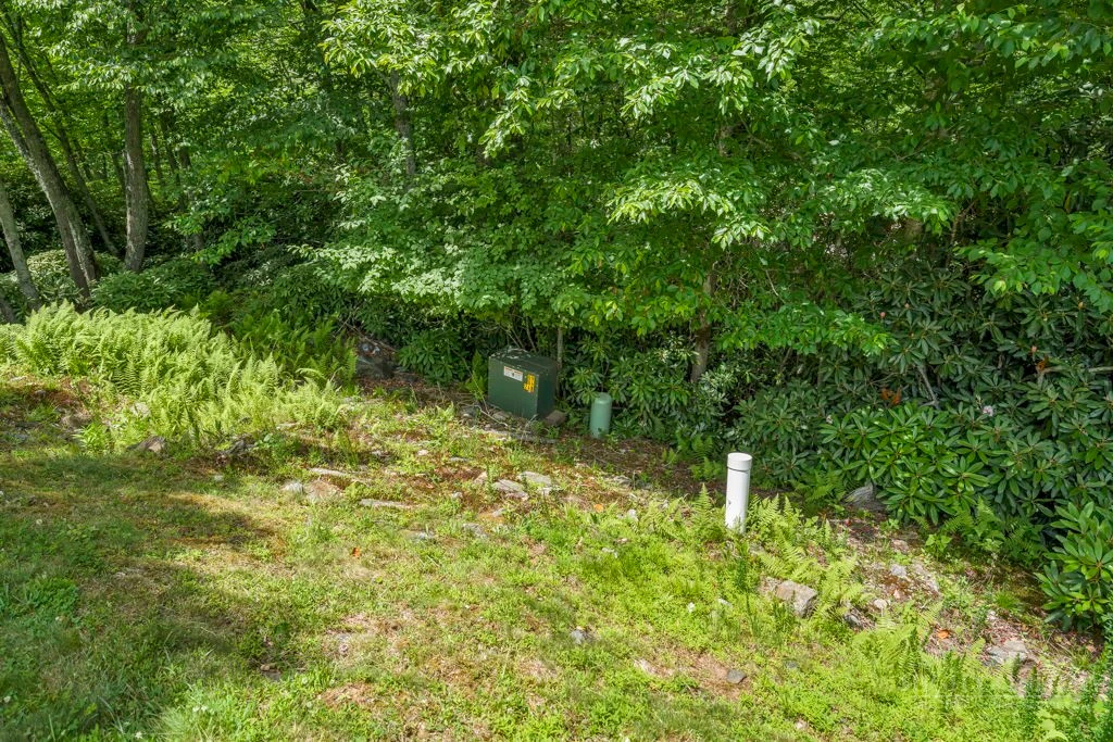 Image number 3 for the current listing