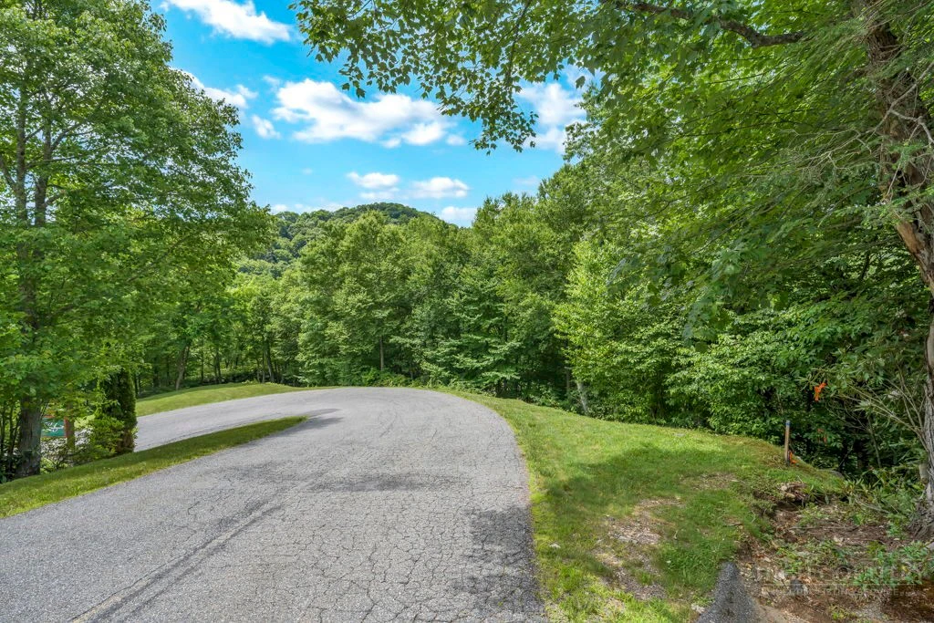 Image number 4 for the current listing