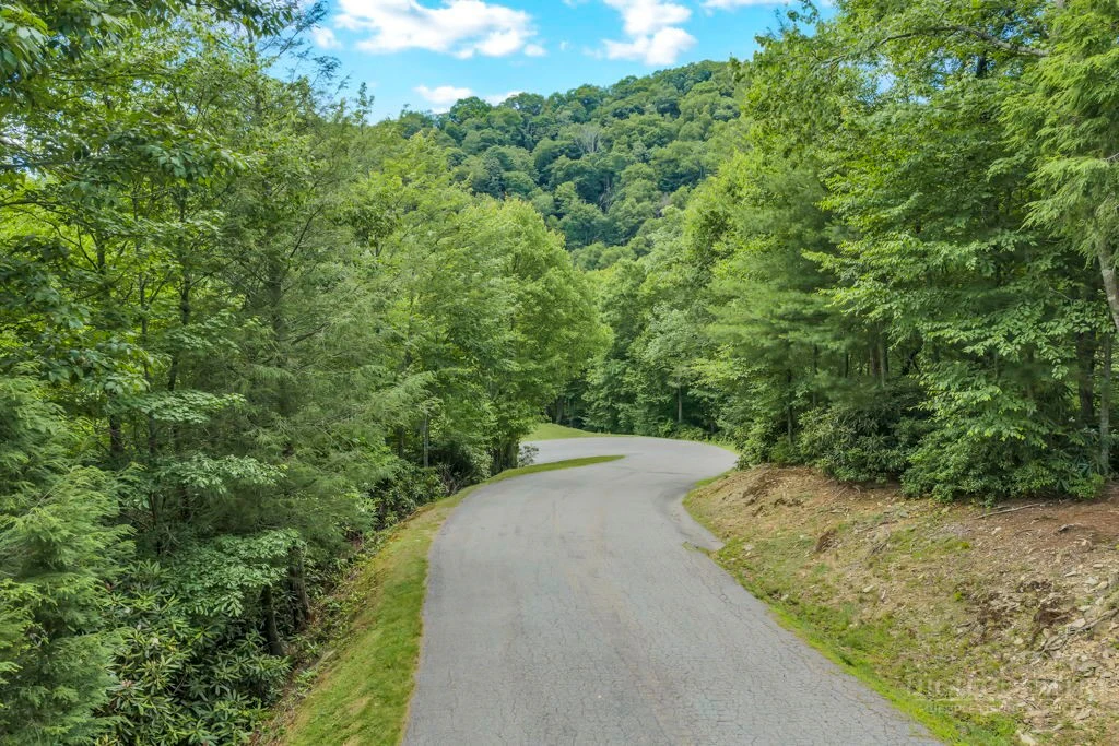 Image number 5 for the current listing
