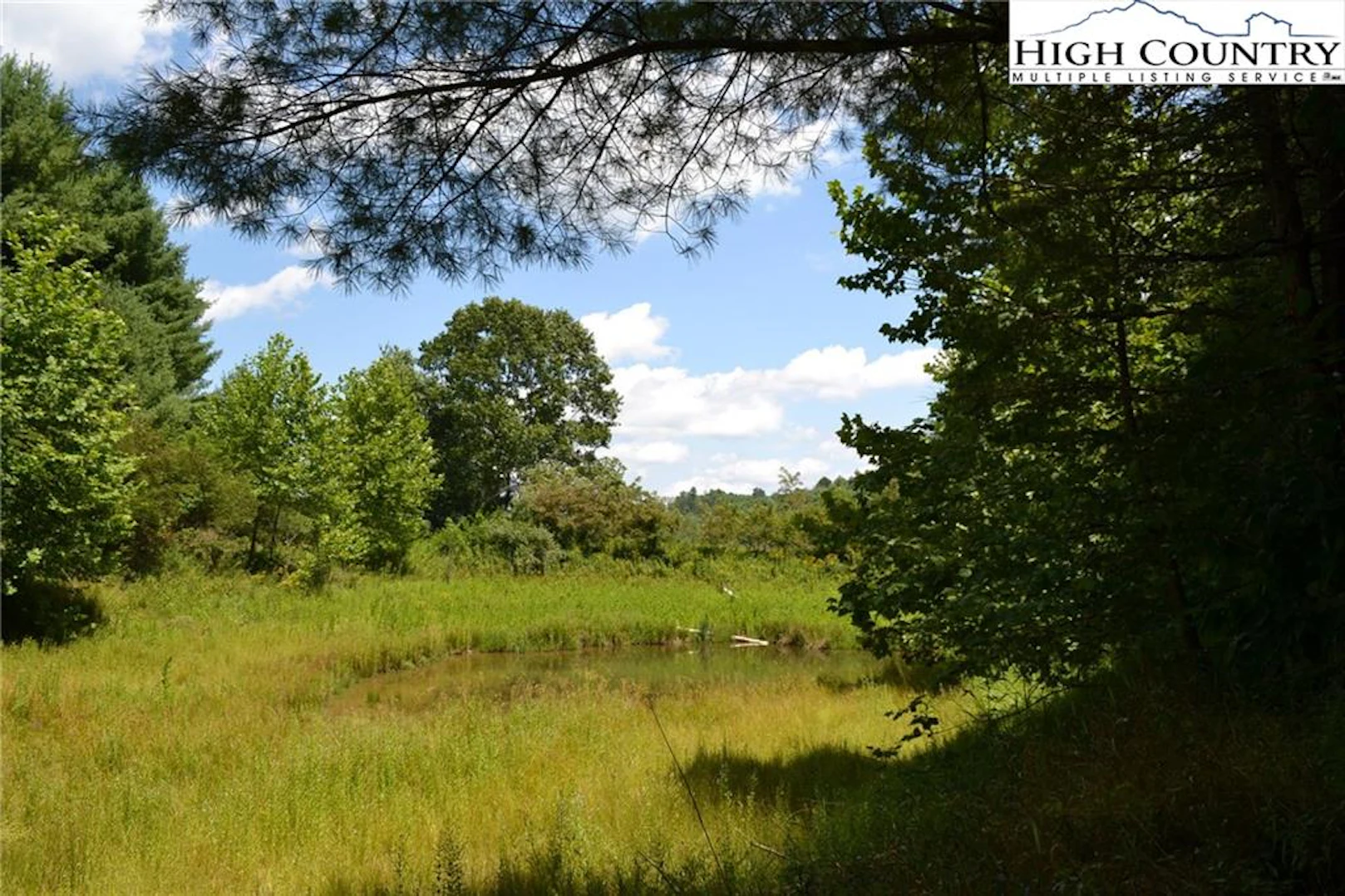 Image number 1 for the current listing