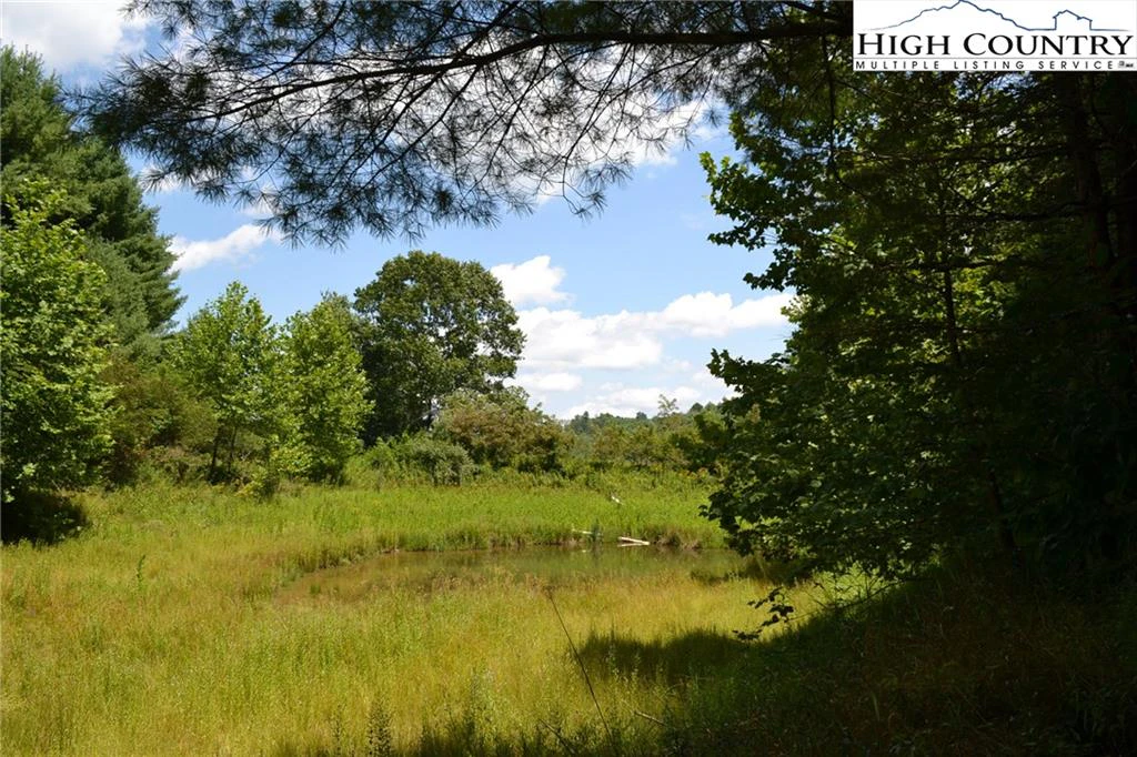 Image number 1 for the current listing