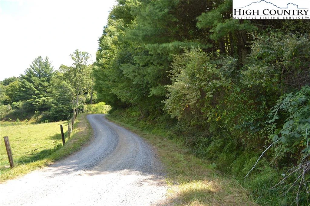 Image number 11 for the current listing