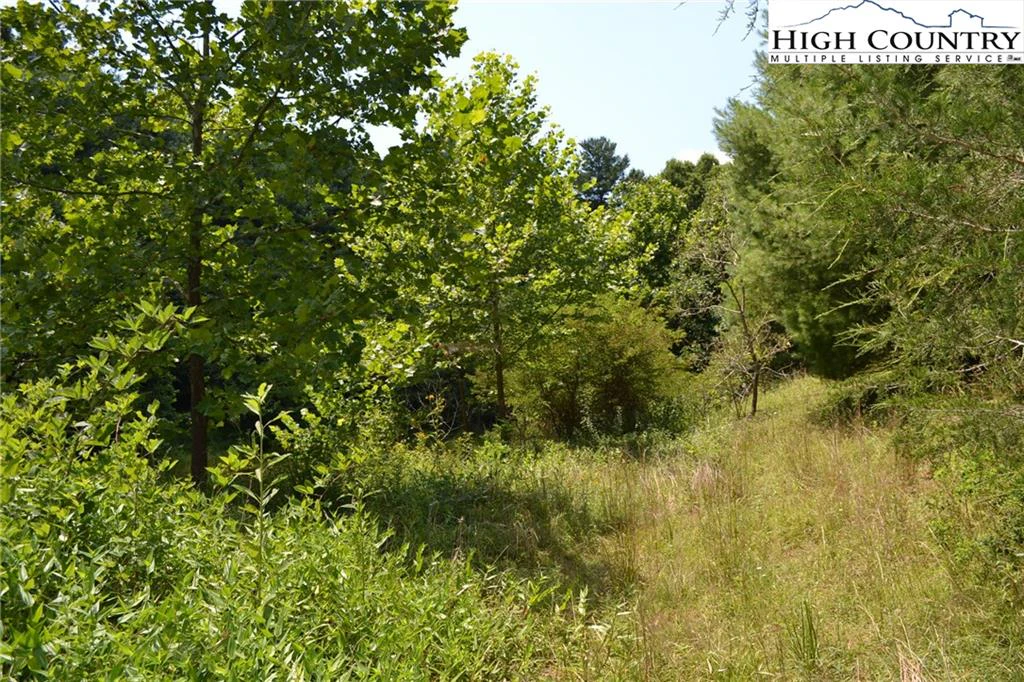 Image number 3 for the current listing