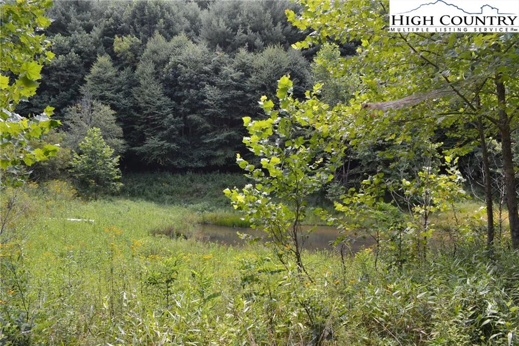 Image number 4 for the current listing