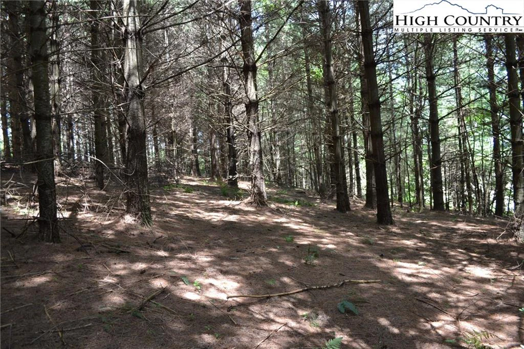 Image number 5 for the current listing