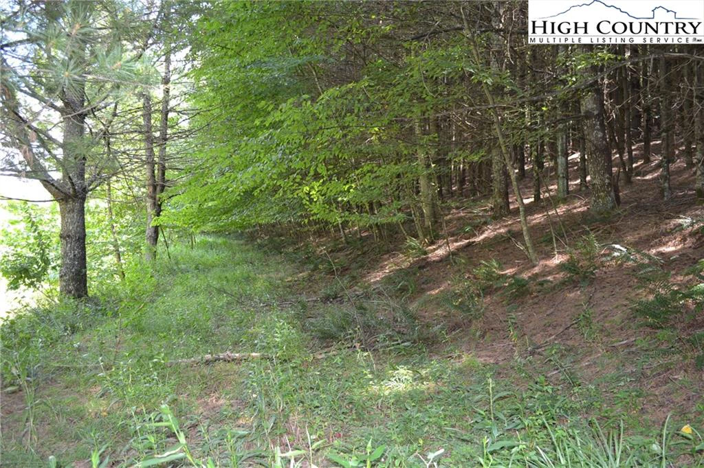 Image number 9 for the current listing