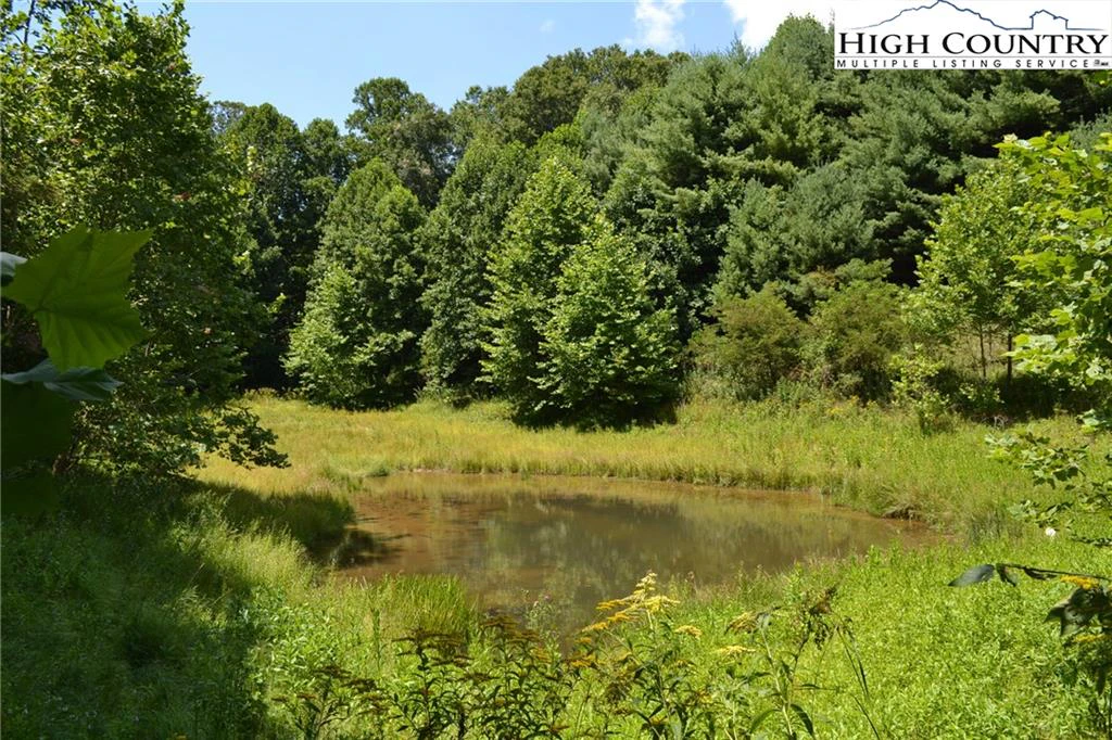 Image number 10 for the current listing