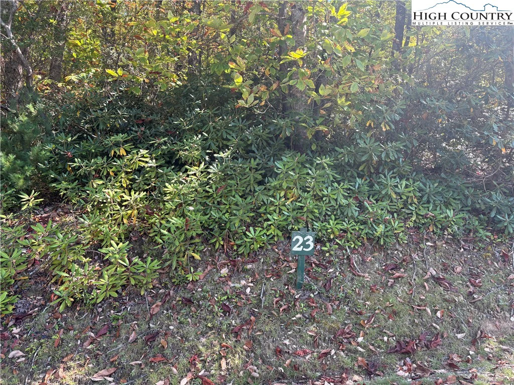 Image number 1 for the current listing