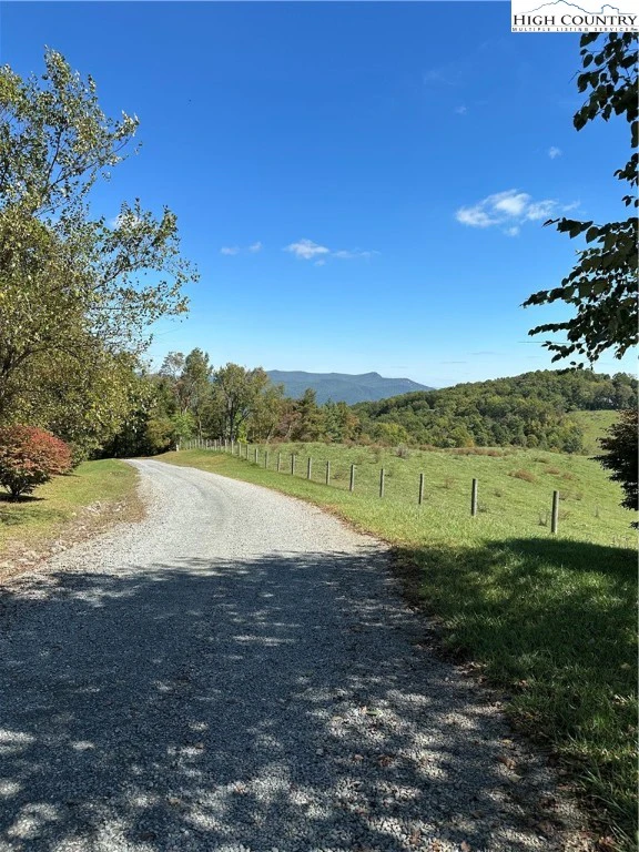 Image number 5 for the current listing